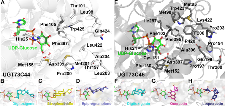 Figure 7