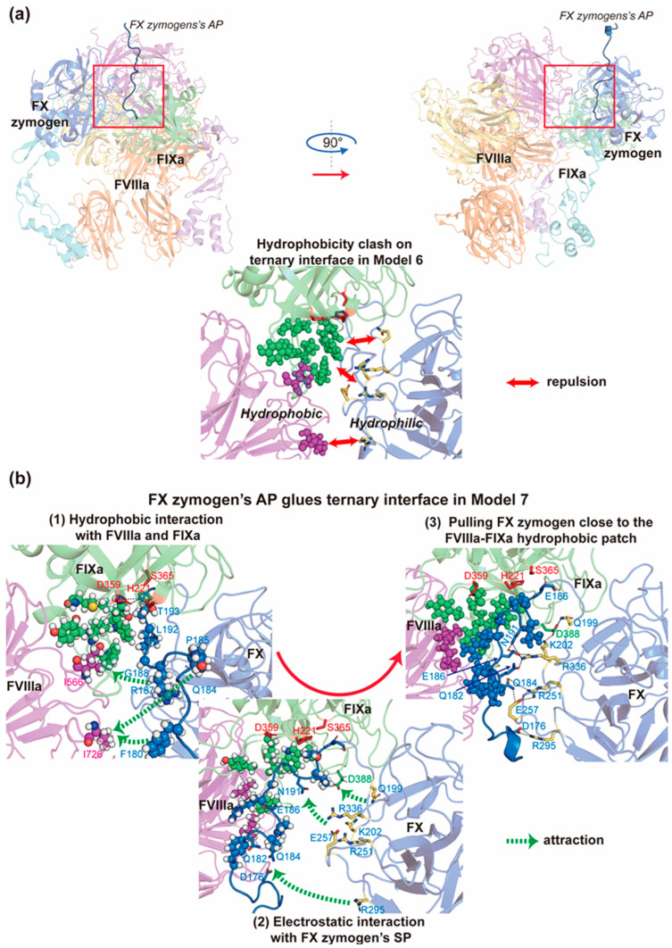 Figure 5