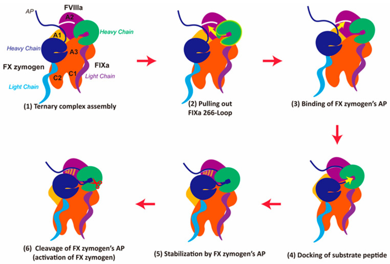 Figure 6