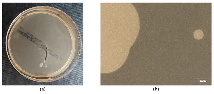 Figure 18