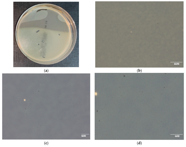 Figure 23