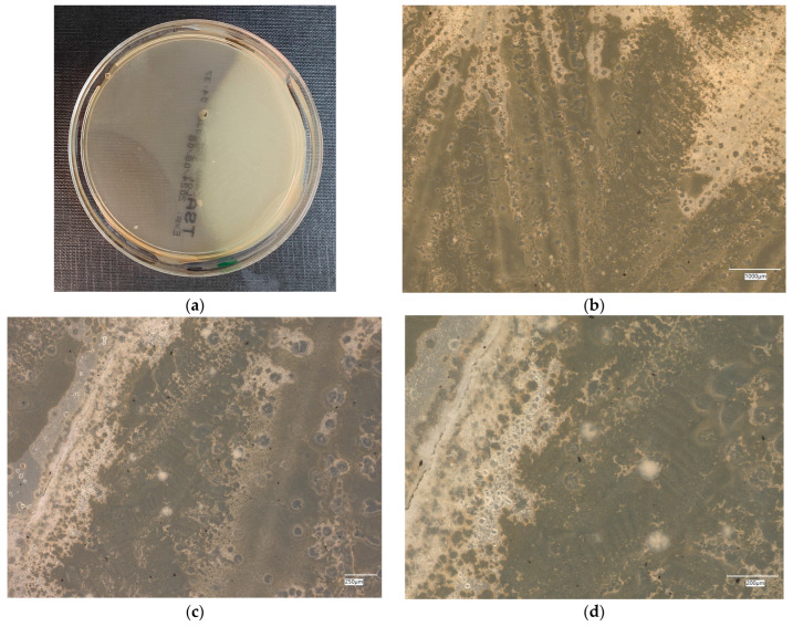Figure 26