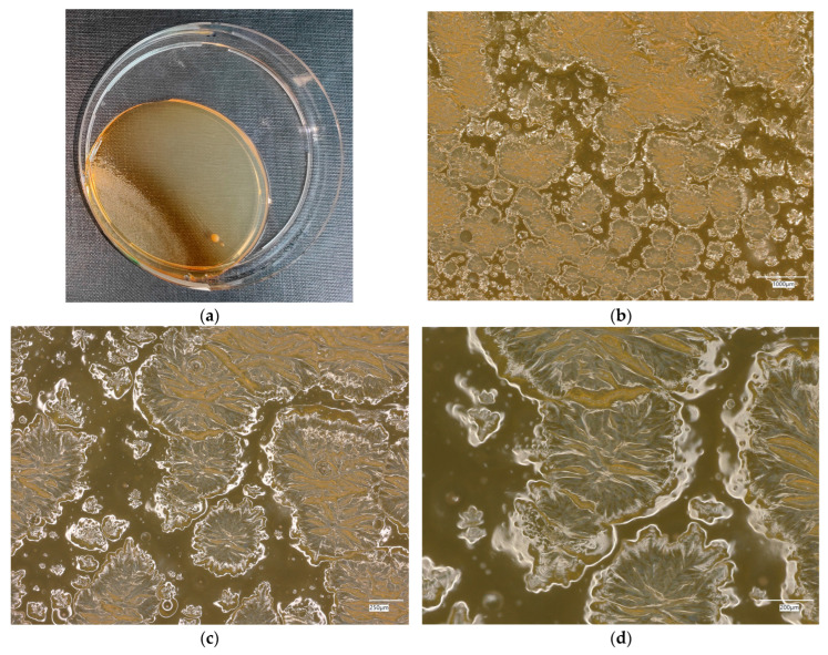 Figure 27