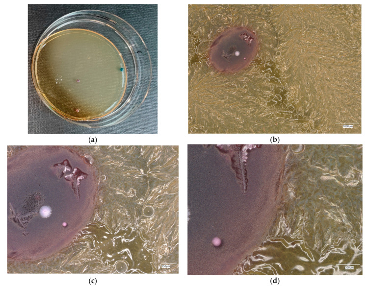 Figure 28
