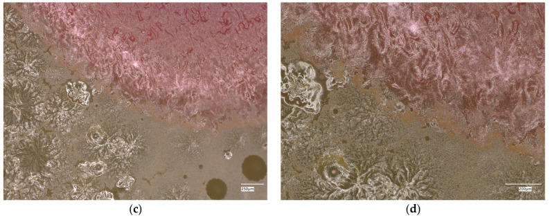 Figure 30
