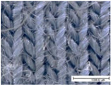 Figure 21