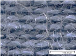 Figure 22