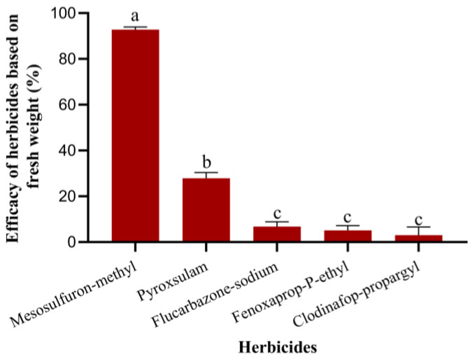 Figure 10