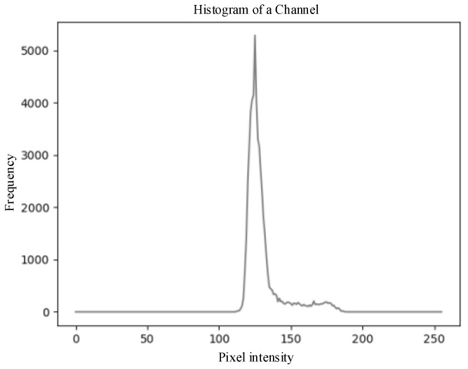 Figure 11
