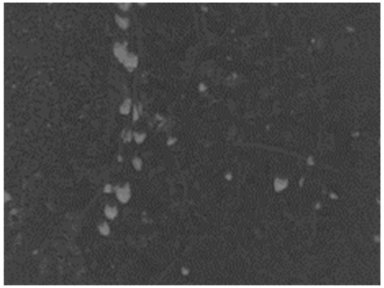 Figure 13