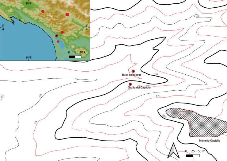 Fig 2