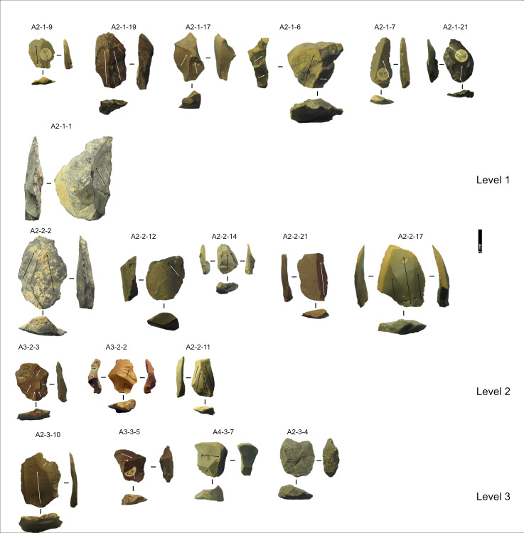 Fig 12
