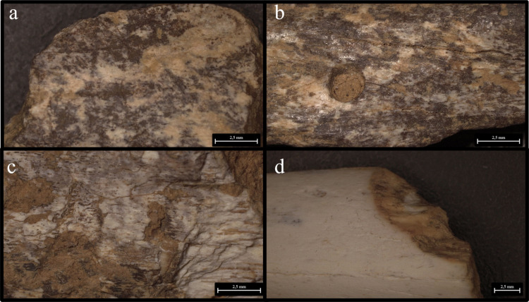 Fig 23