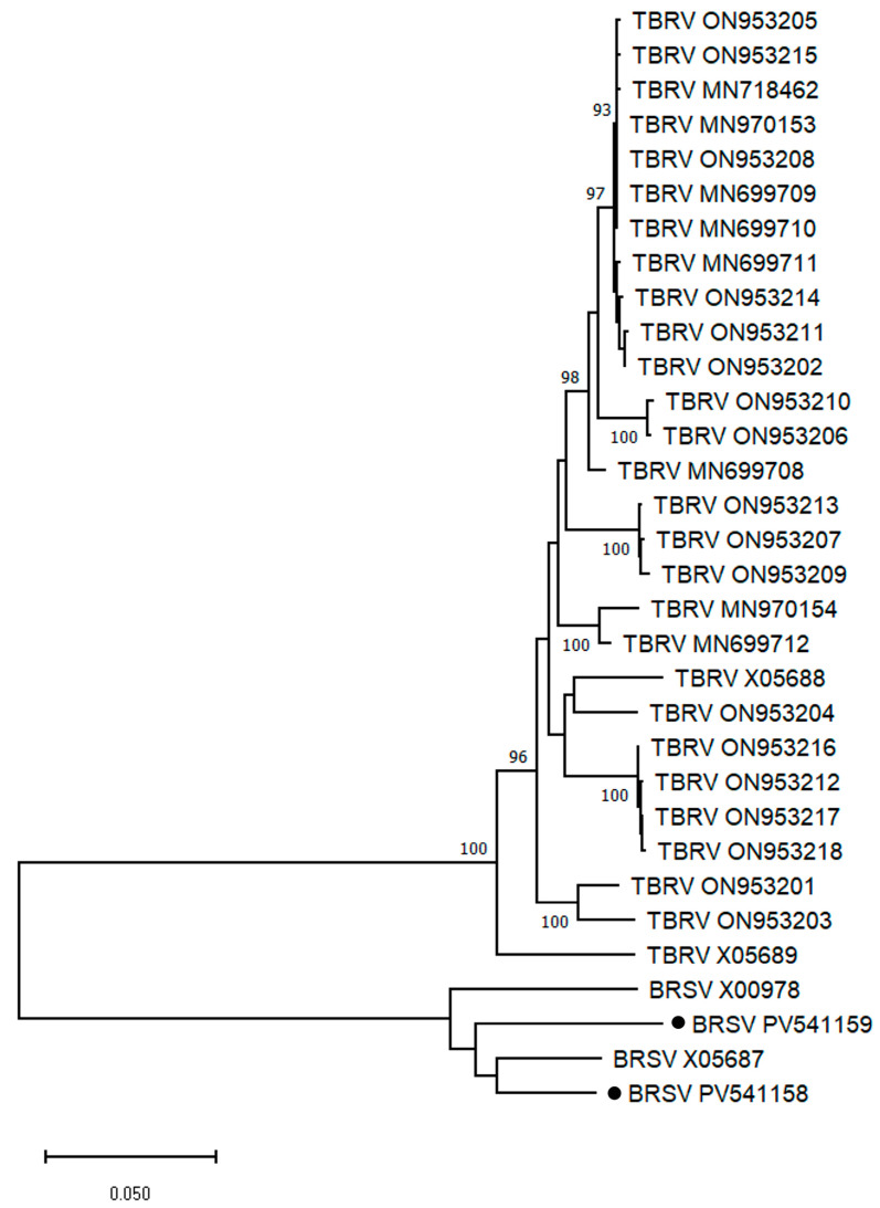 Figure 10