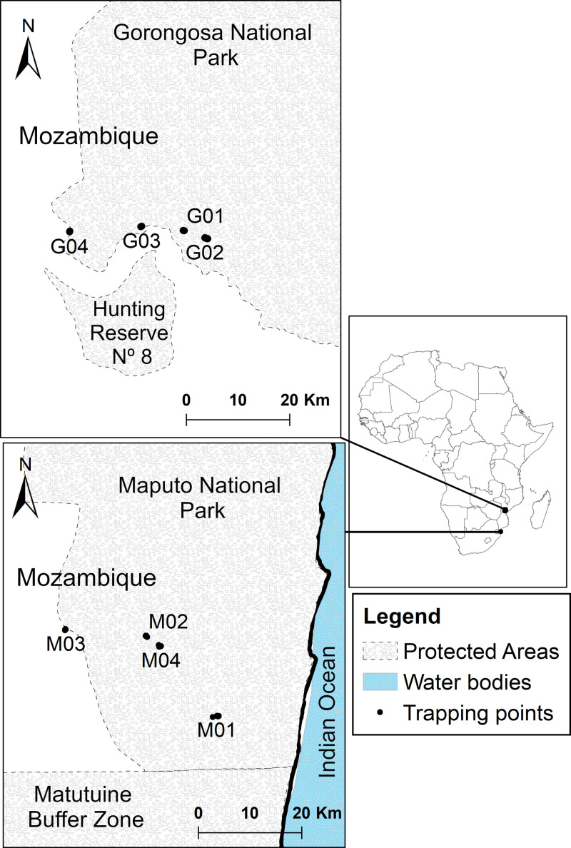 Fig 1