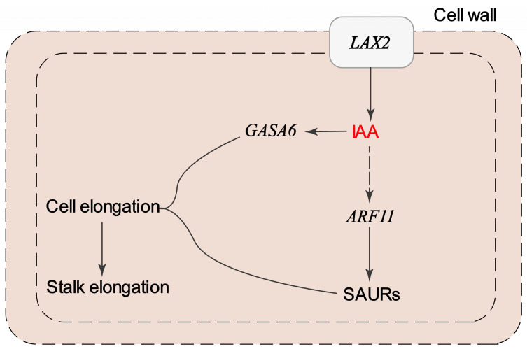 Figure 9