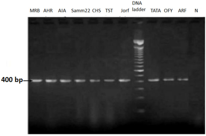 Figure 2