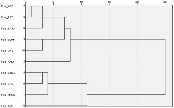 Figure 7