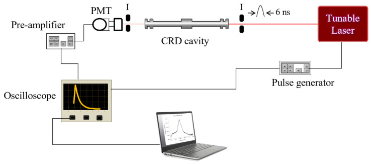 Figure 11