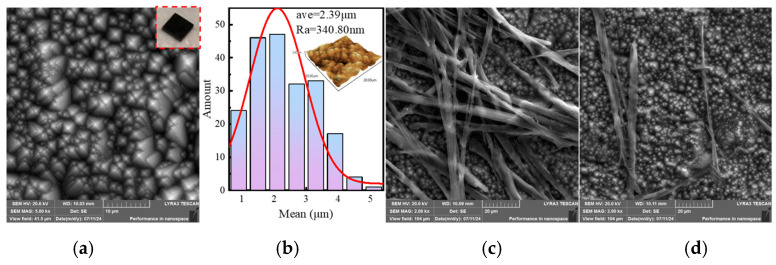 Figure 11