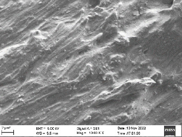 Figure 24