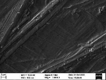 Figure 29