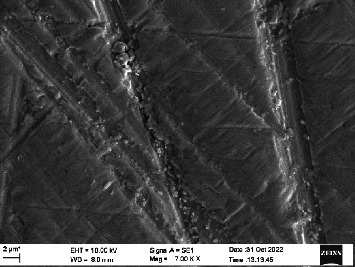 Figure 30