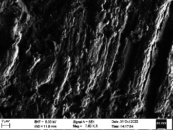 Figure 31