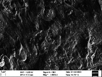 Figure 32