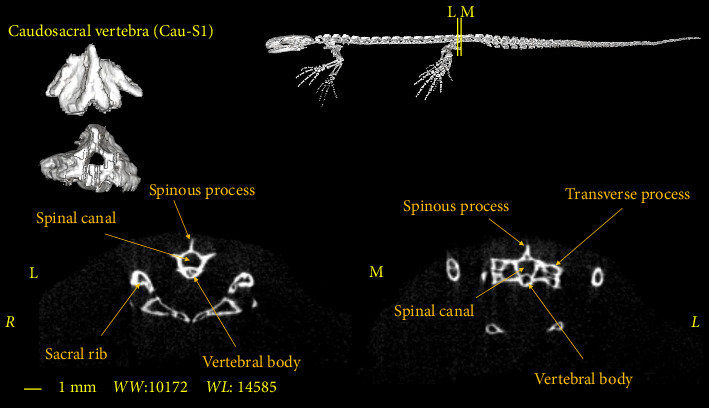 Figure 10