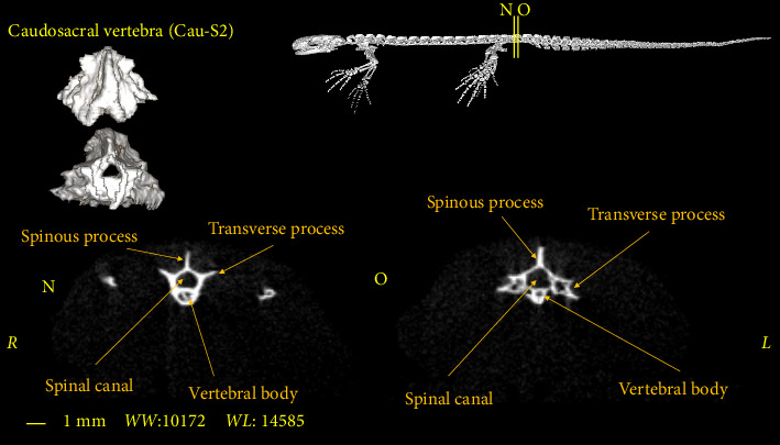 Figure 11