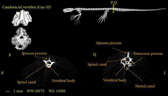 Figure 12
