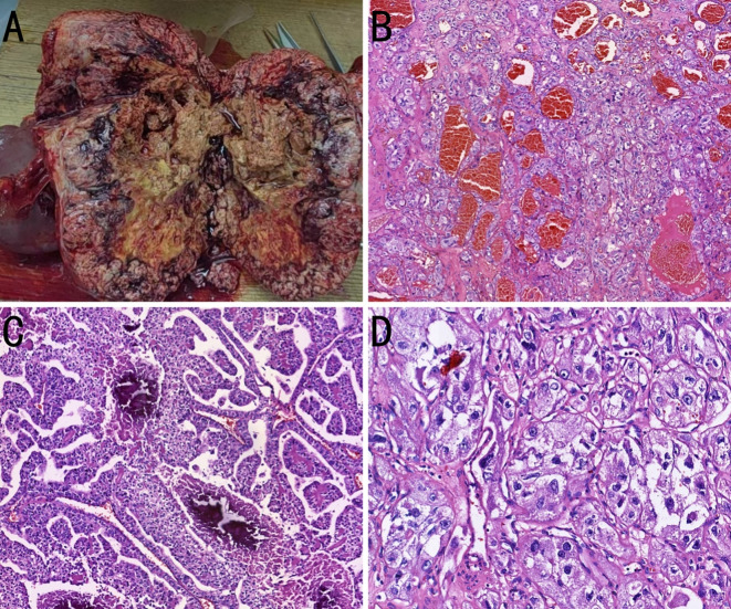 Figure 3
