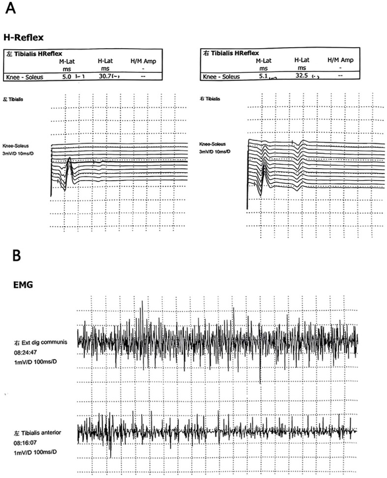 Figure 5