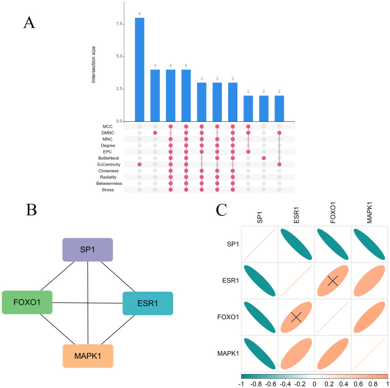 Figure 5