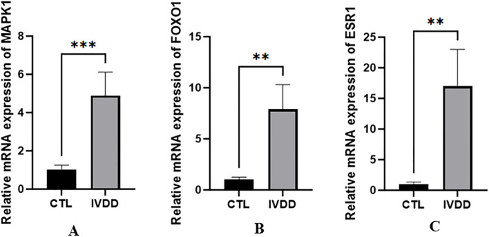 Figure 13
