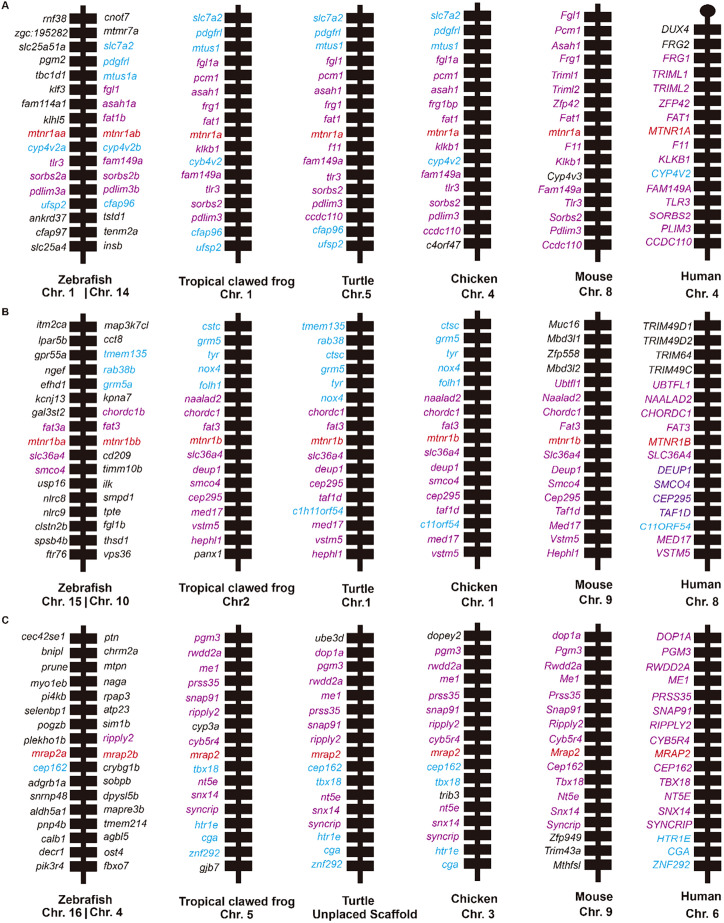 Figure 2