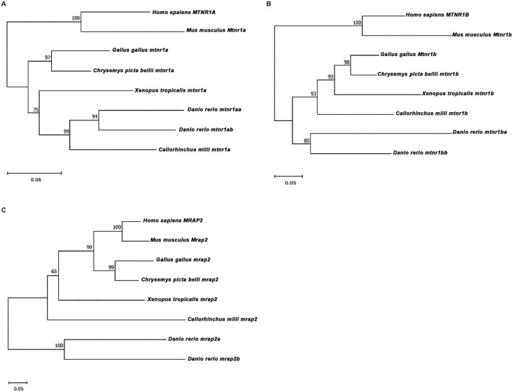 Figure 3