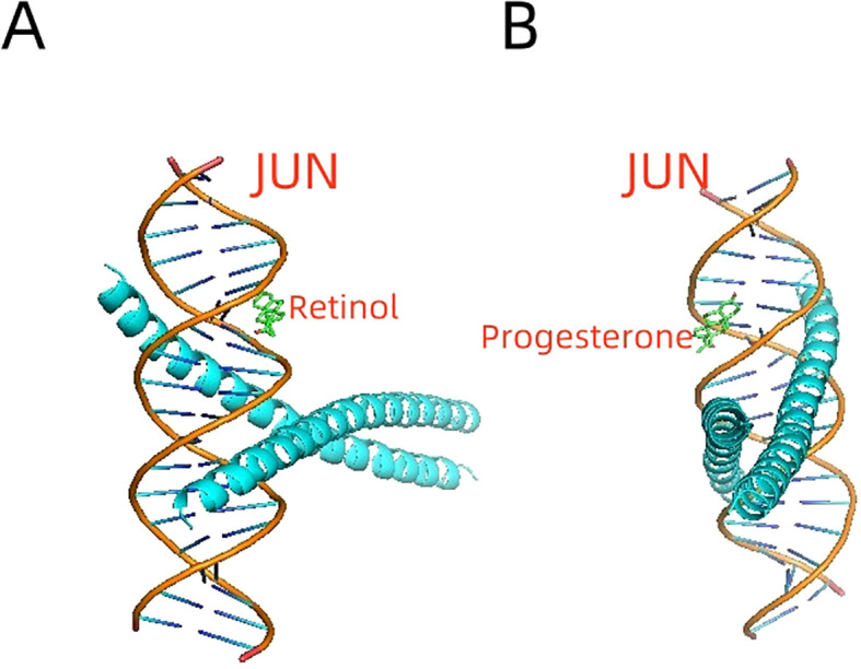 Figure 6