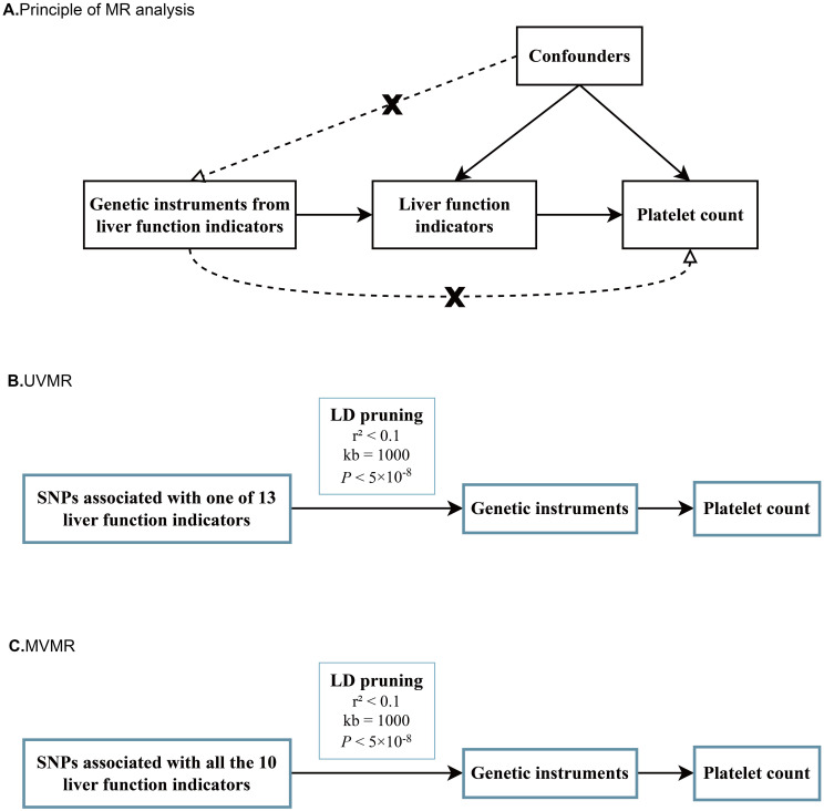 Figure 1
