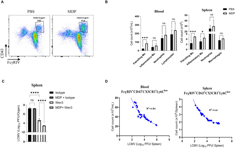 Figure 6