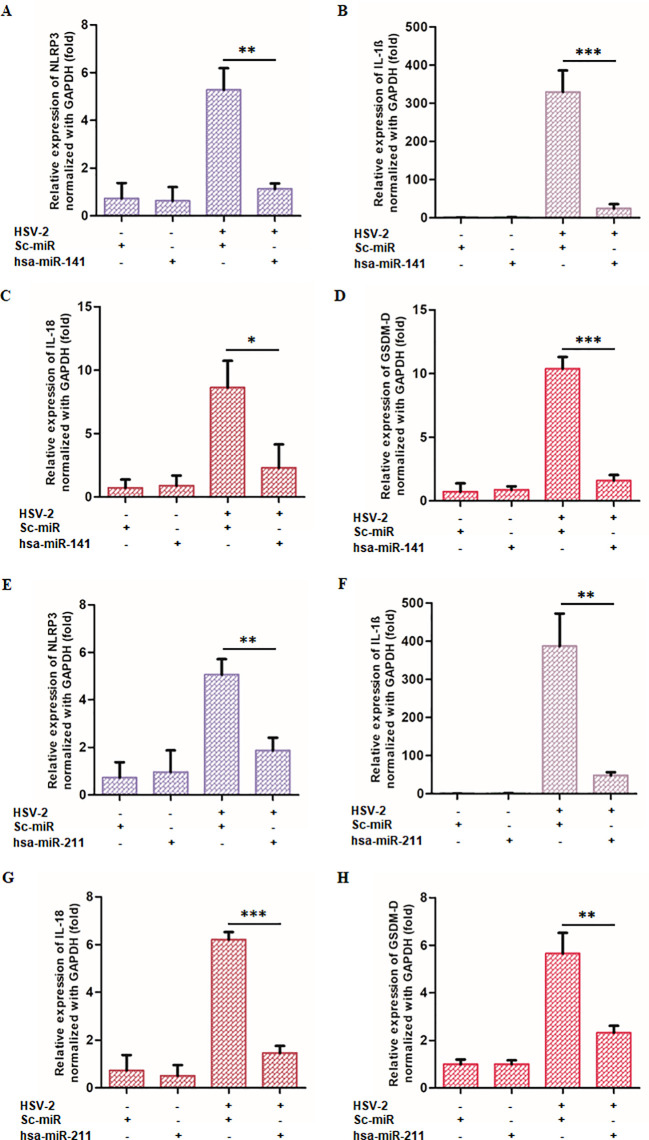 Figure 6