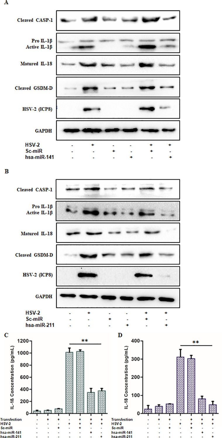 Figure 7