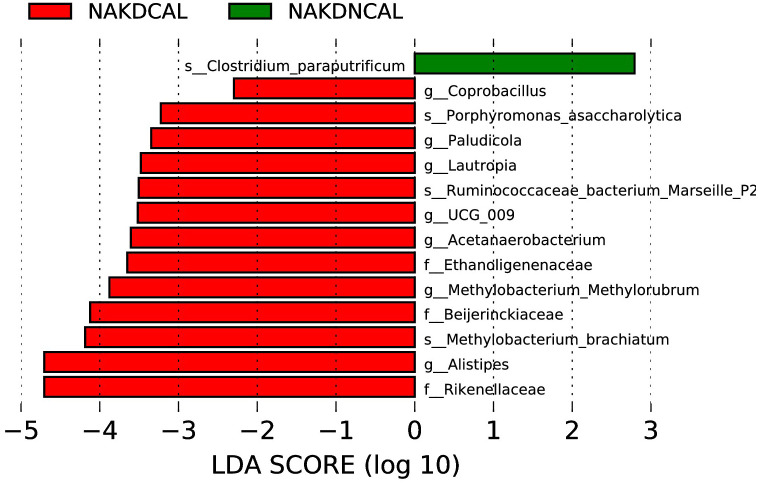 Figure 13