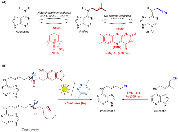 Figure 1
