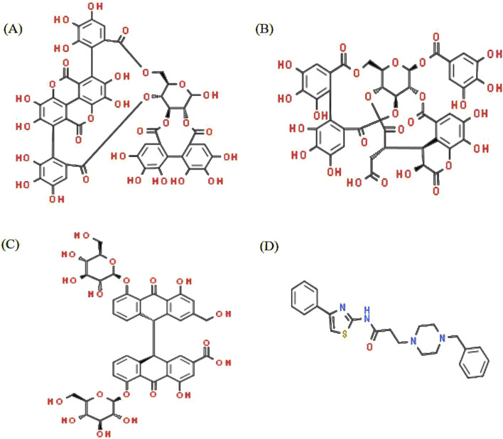 FIGURE 1