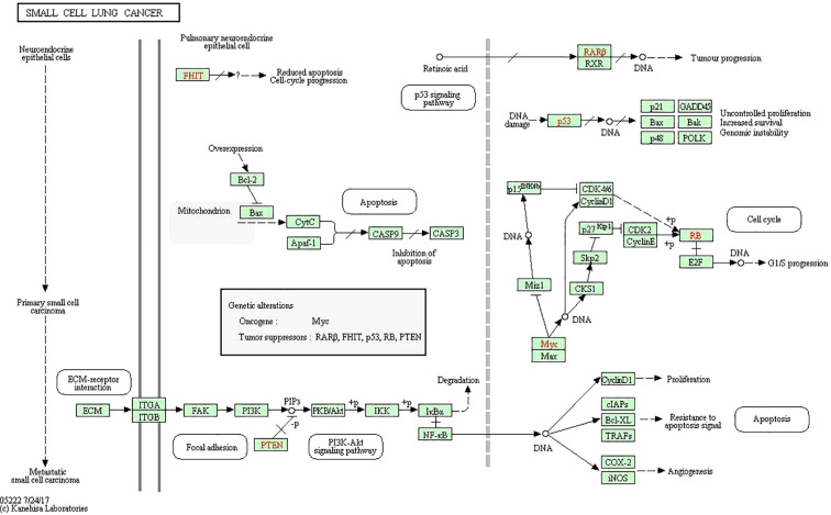 Figure 5