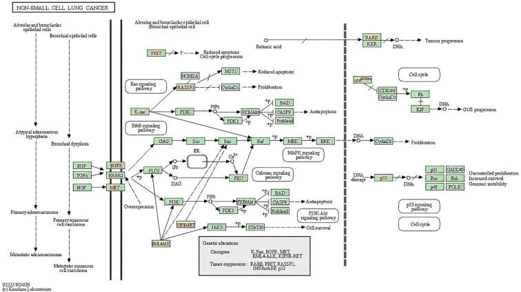 Figure 6
