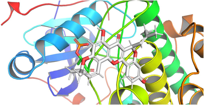 Figure 7