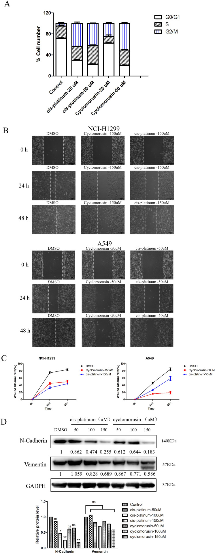Figure 10